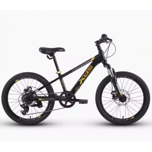 XDS 20吋前避震鋁合金碟煞車